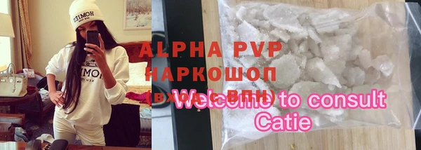 индика Волоколамск