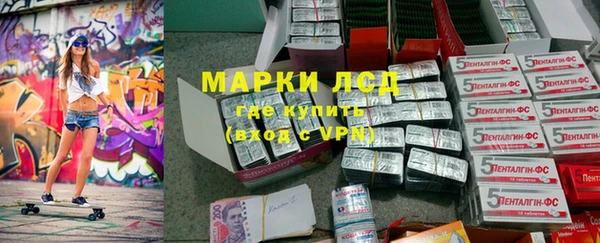 сатива Волосово