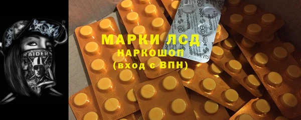 гидра Верея