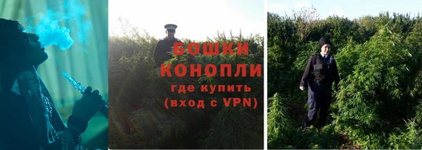 гидра Верея