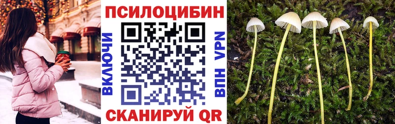 blacksprut ONION  Камбарка  Псилоцибиновые грибы мицелий  дарнет шоп 